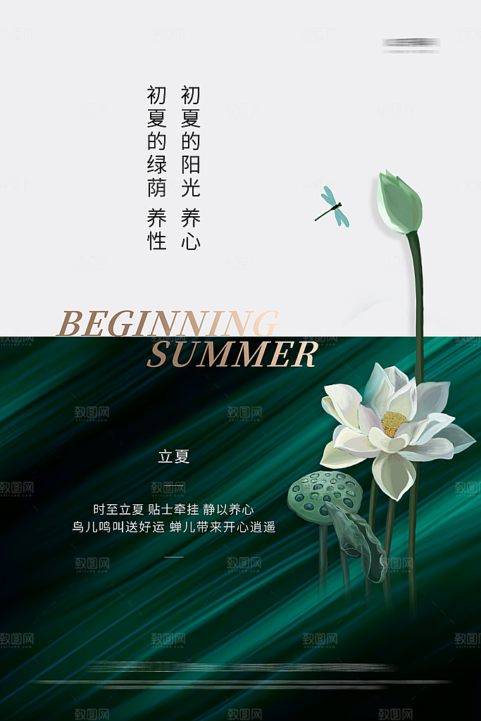 立夏二十四节气海报