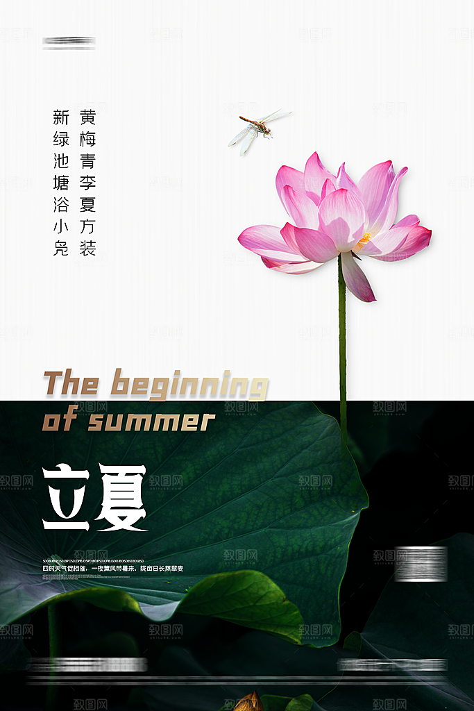 立夏二十四节气海报