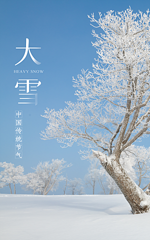 中国风24节气之大雪摄影图海报