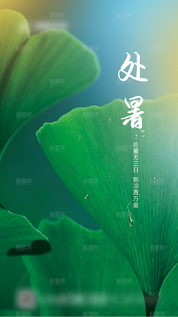 处暑二十四节气创意海报