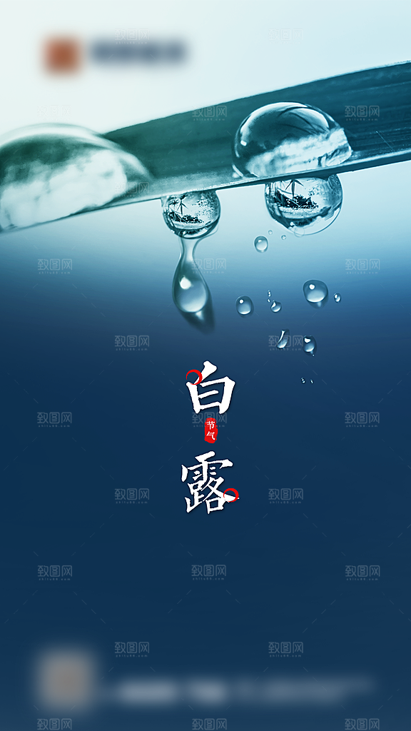 白露二十四节气创意海报