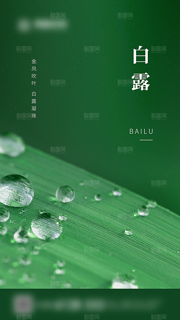 白露二十四节气创意海报