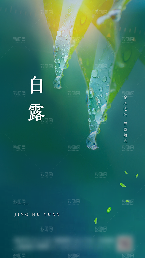 白露二十四节气创意海报