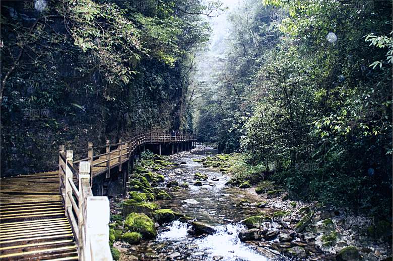 湖南张家界大峡谷