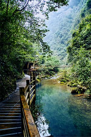 湖南张家界大峡谷