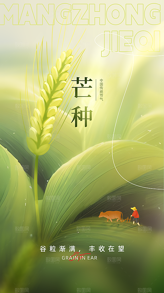 芒种节气宣传海报