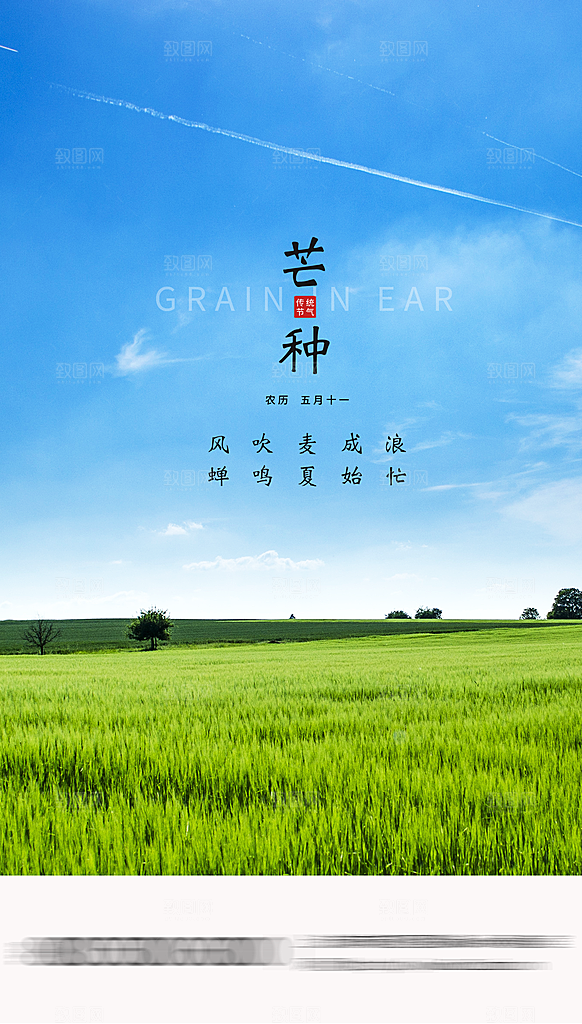 芒种二十四节气海报