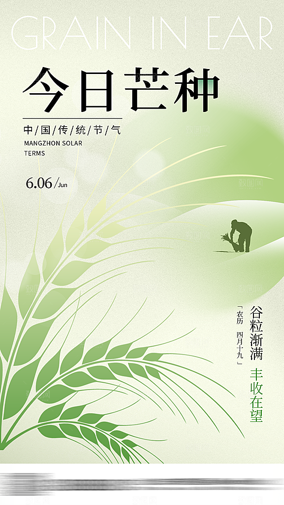 芒种二十四节气海报