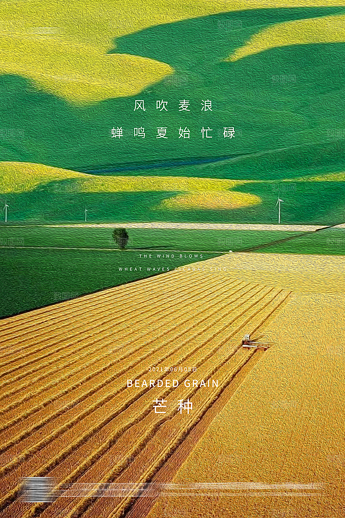 芒种二十四节气海报