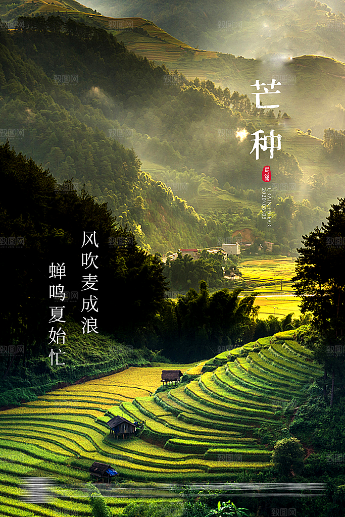 芒种二十四节气海报