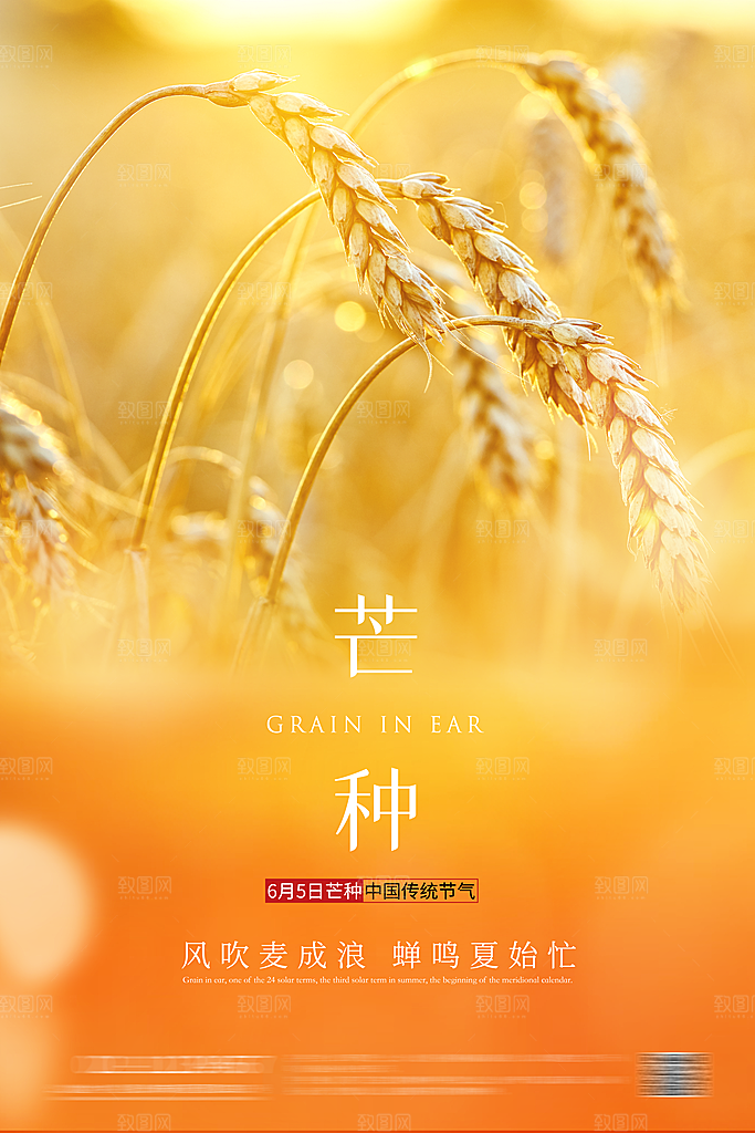 芒种二十四节气海报