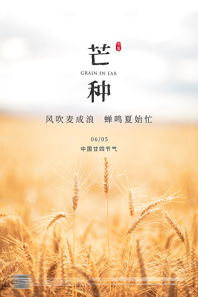 芒种二十四节气海报