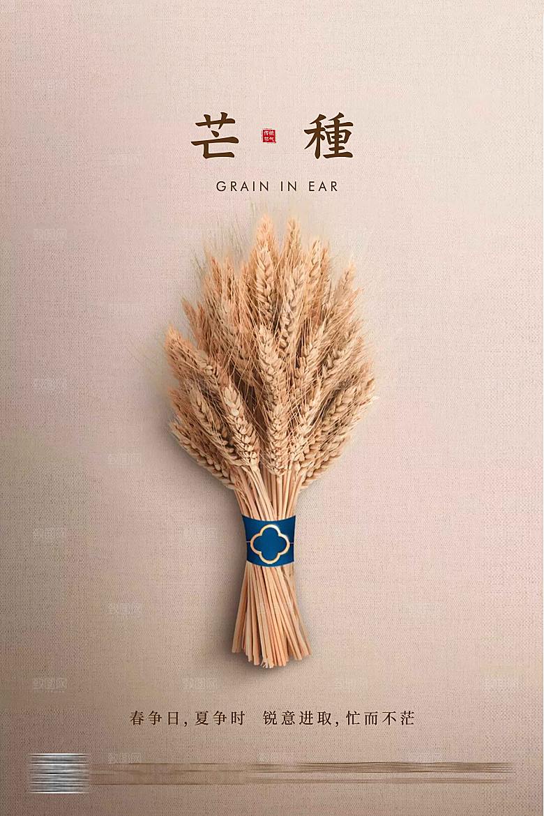 芒种二十四节气海报