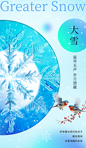 冬季下雪大雪节气海报