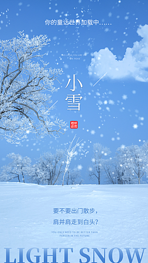 清新简约小雪节气摄影图海报