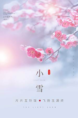 小雪中国风清新梦幻风传统节日海报