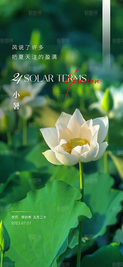 大暑二十四节气海报