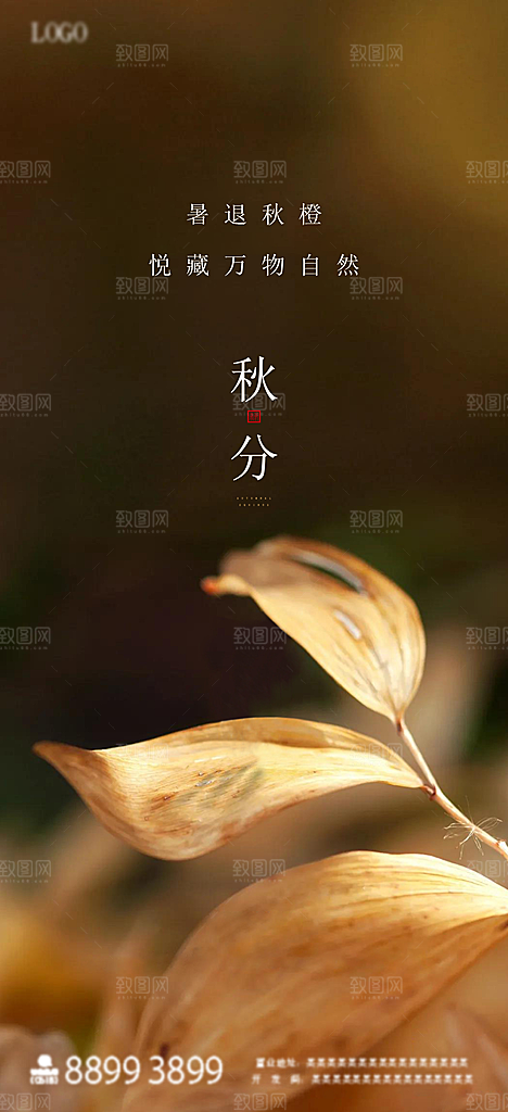秋分二十四节气海报
