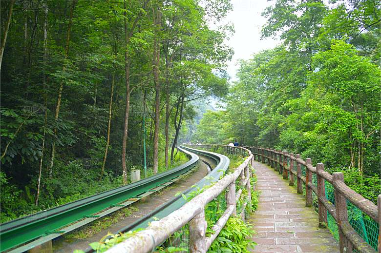 张家界武陵源森林公园