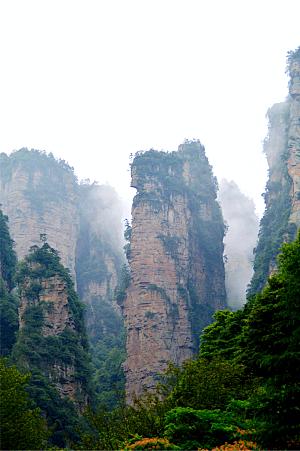 张家界武陵源森林公园