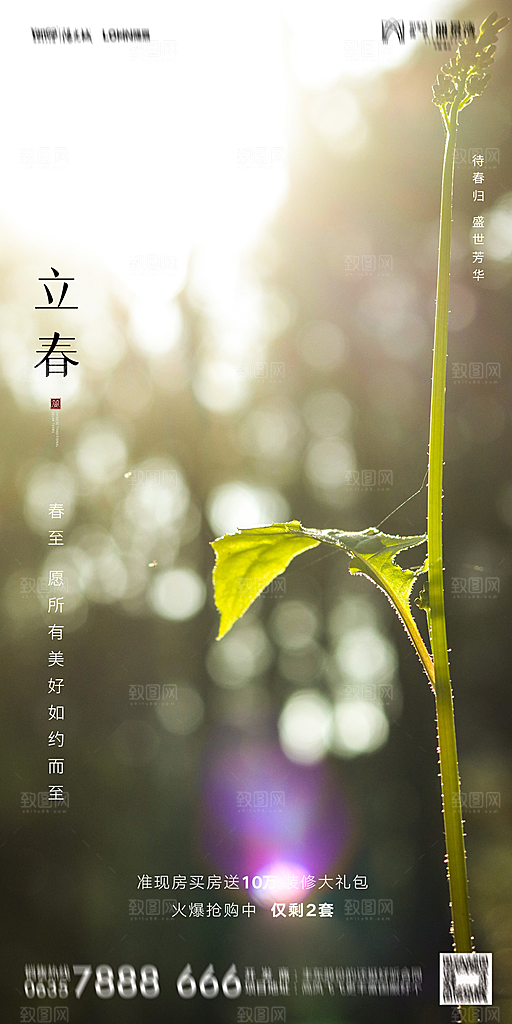 地产二十四节气立春海报