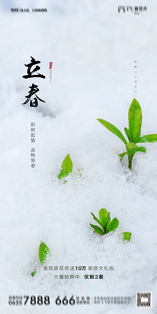 地产二十四节气立春海报