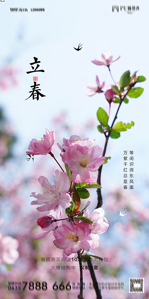 地产二十四节气立春海报