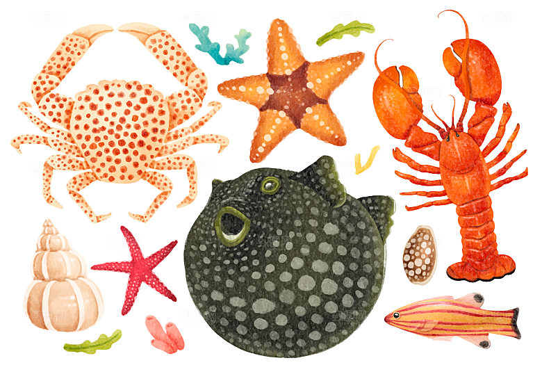 海洋生物矢量元素