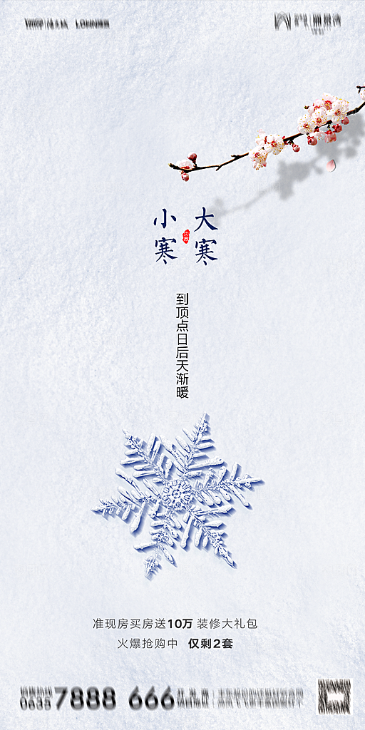 地产二十四节气小寒大寒海报