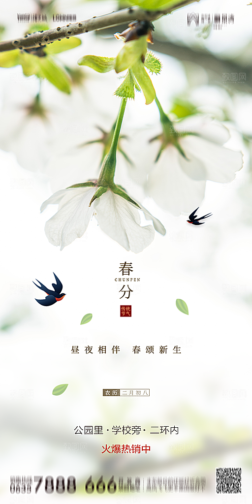 地产简约大气春分节气海报
