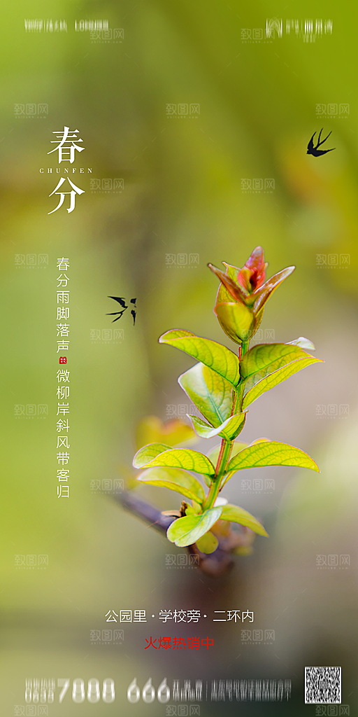 地产简约大气春分节气海报