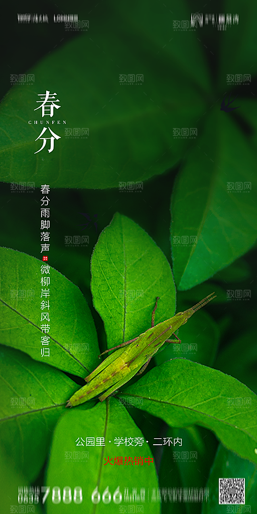 地产简约大气春分节气海报