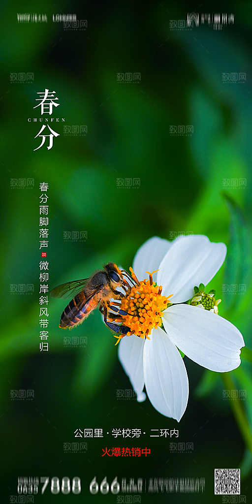 地产简约大气春分节气海报