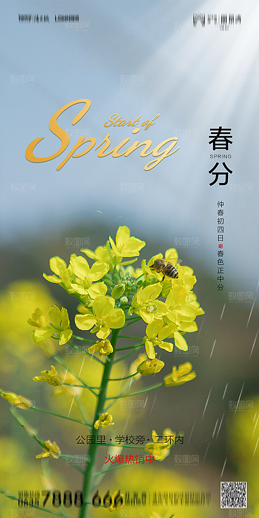 地产简约大气春分节气海报