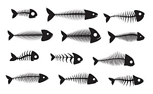 鱼刺卡通鱼矢量元素