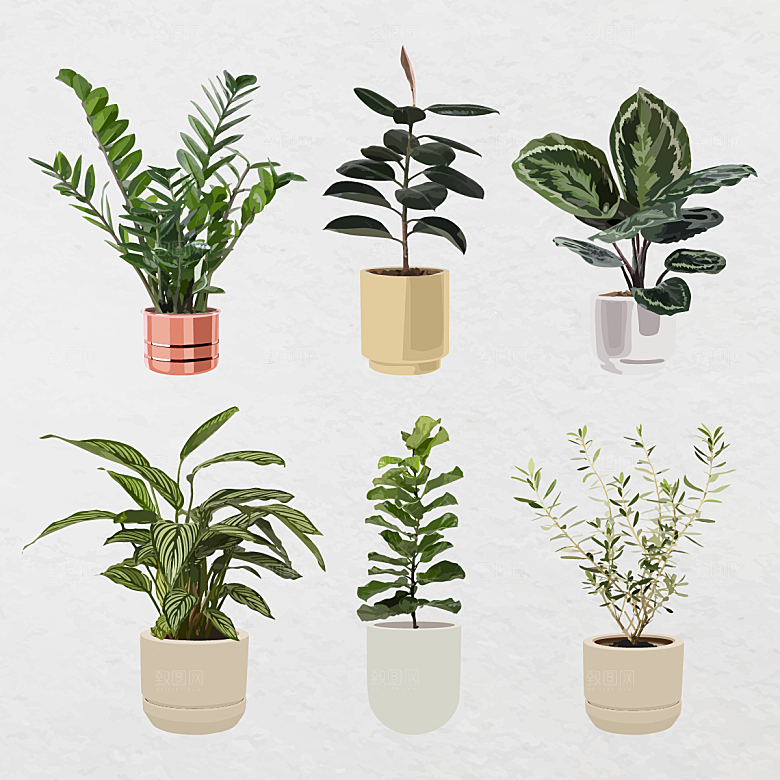 盆栽绿植矢量元素