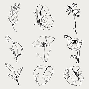 手绘线描花卉矢量元素