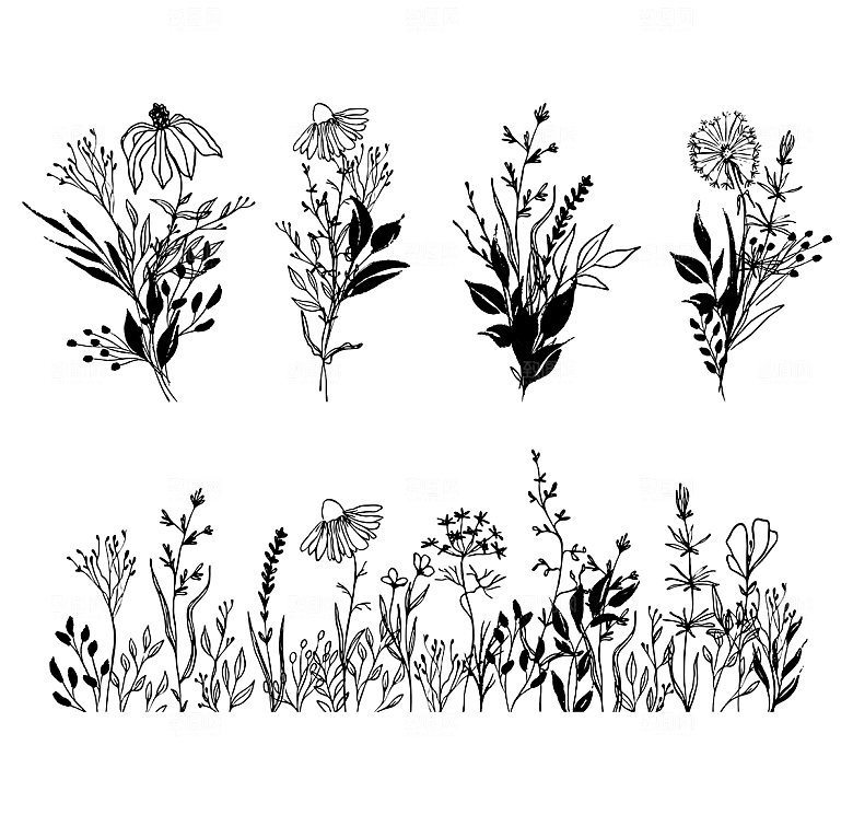 线描花卉矢量元素