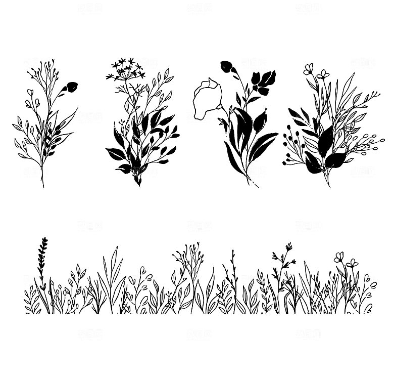 线描花卉黑色剪影矢量元素