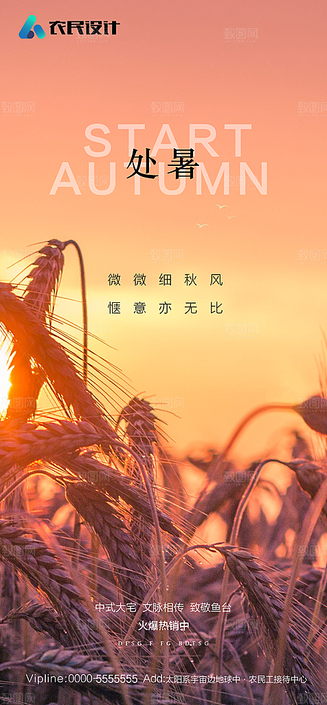 地产二十四节气处暑简约大气海报