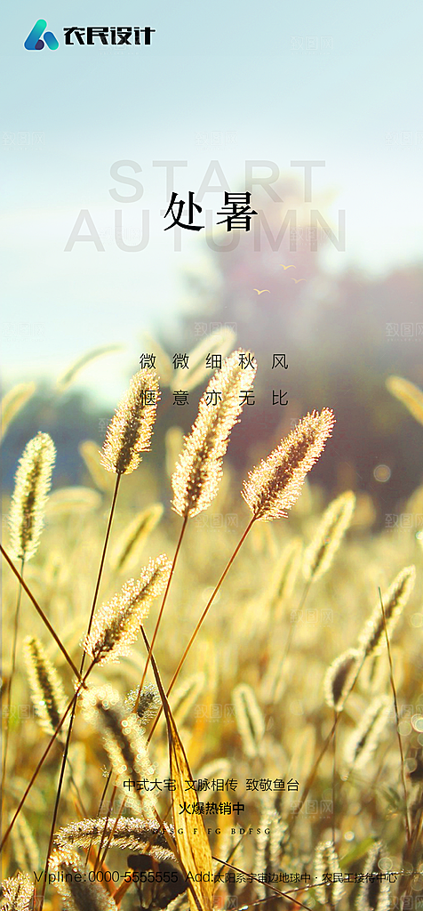 地产二十四节气处暑简约大气海报