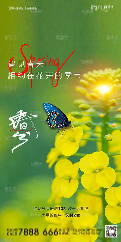 地产二十四节气春分简约大气海报