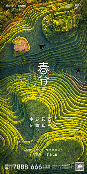 地产二十四节气春分简约大气海报