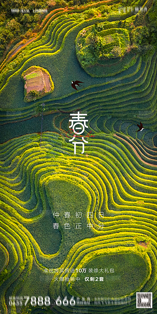 地产二十四节气春分简约大气海报