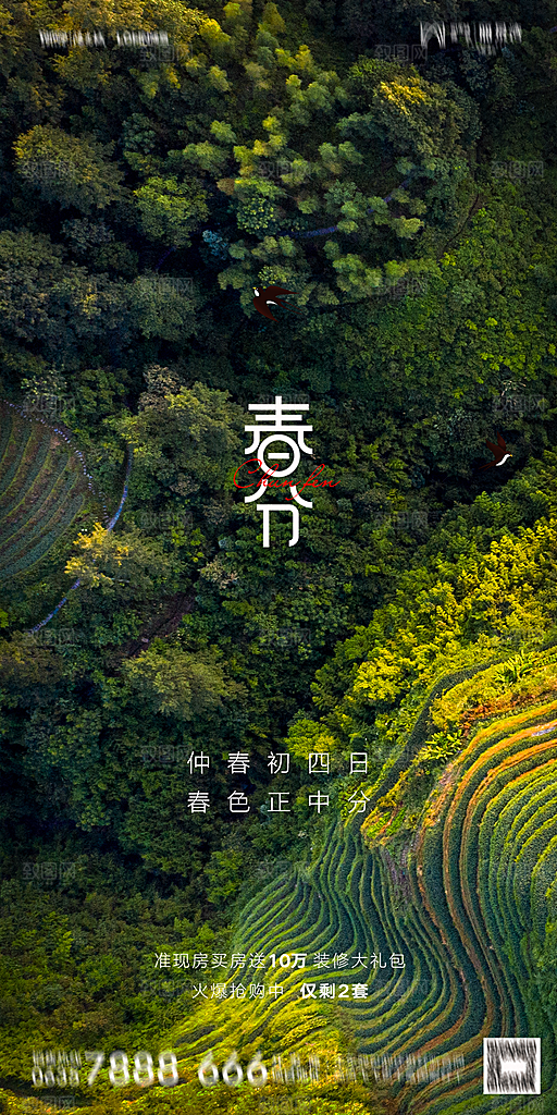 地产二十四节气春分简约大气海报
