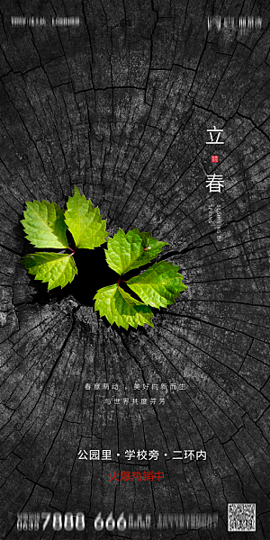 地产二十四节气立春简约大气海报