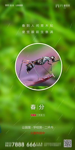 地产二十四节气春分简约大气海报