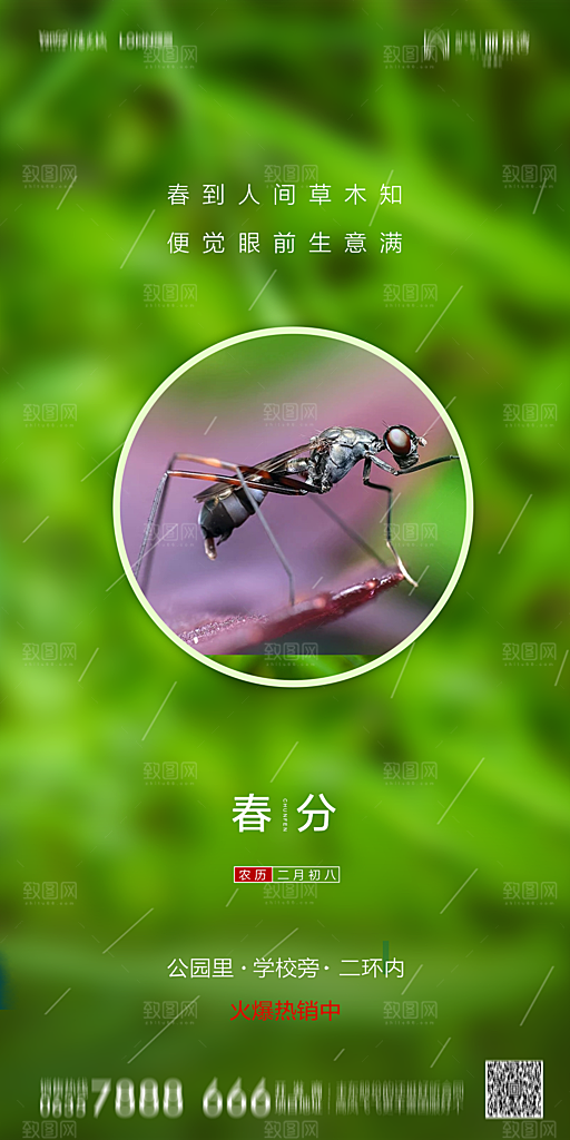 地产二十四节气春分简约大气海报