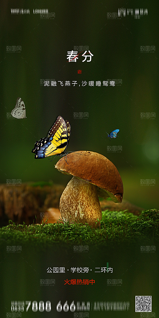 地产二十四节气春分简约大气海报