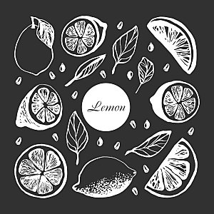 柠檬手绘矢量图案元素